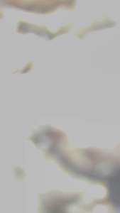 JAHE MERAH SEGAR 1kg fresh besar jahe super cocok untuk herbal daya tahan tubuh