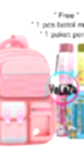 Ransel Anak Sekolah SD: Tas Backpack Canvas & Mika dengan Banyak Bonus