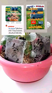 ผงดำ kga (สารเสริมพืช)❗ส่งงไว❗ส่งทุกวัน