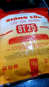 Túi 1Kg Giống Lúa St25 Hàng Chuẩn Hồ Quang