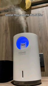 Goose Hours เครื่องกระจายความชื้นภายในบ้าน Home Humidifier 700 ML สำหรับสายชาร์จ USB ความจุกล ผู้ที่มีวันหมดความสวย 21-30 ตรม