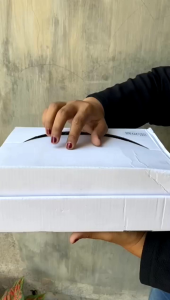 Kaktus Mini Latex: Tanaman Tahan Lama untuk Dekorasi Interior