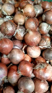 หอมแดงหัวใหญ่พม่าแห้ง...1..kilo