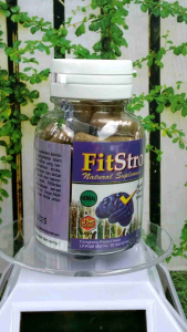 OBAT STROKE FITSTROKE OBAT HERBAL UNTUK STROKE