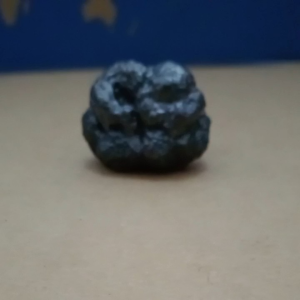 Batu BB Natural Fosil Kadal Nempel
