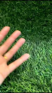 OMG OH MY GLOW UV Barrier Sunscreen SPF 50 PA++++ 25ml- Sunscreen Bright Booster