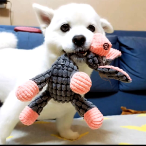 ตุ๊กตากัดเล่น - ของเล่นสูงสุนัช ของเล่นน้องแมว ตูติ ตูทิ ส่วนตัวของเล่นสูงสุนัช ของเล่นสูงสุนัช สนุกสนาน ขบกเล่น ตุ๊กตาผ้าลา สินค้าสัตว์เลี้ยง