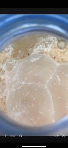 จุลินทรีย์น้ำซาวข้าวขนาด 600ml บำรุงรากบำรุงผลบำรุงใบ