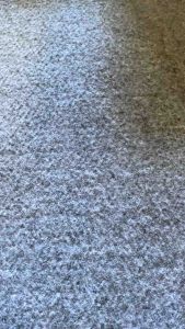 Taji Egrek / Jalu Pengait Buah Sawit