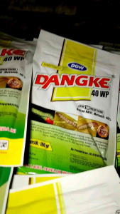 DANGKE DGW 40 WP INSEKTISIDA 100gr
