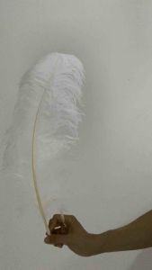 Bulu kasuari PREMIUM 65 - 70 cm ostrich feather