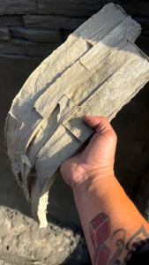 แบบพิมพ์ลาย แบบพิมพ์ลายผนังปูน