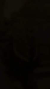 ❗️SALE❗️แร็คท้าย ZONTES-350E ตะแกรงท้าย Zontes350e สีพาวเดอร์โค้ด งาน NRC Racing