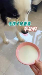 【Best Quality】Monbab Pet Goat Milk Powder 400g Dog Cat Milk 猫咪狗狗宠物奶粉Newborn Nutrition Supplement Probiotic Susu Kucing dog cat milk powder