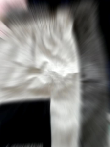 celana pendek cargo anak anak usia 4/8 tahun celana pendek cargo anak cowo model terbaru premium