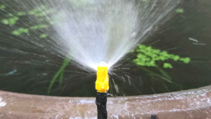 หัวเจ็ตสเปรย์ 50 ตัว 🔥 ด้านเดียว ใช้กับสายไมโครรู 5มม หรือ PE 👈 ส่งเร็ว ⚡ สินค้าไทย