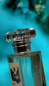 Parfum Blue Selene by Helios Parfum Eau de Parfum 50ml Perfume
