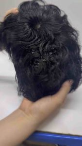 linghongli ปิดผมบาง หัวล้าน เส้นผมจริง ทรงผมลอนหยิก มีสไตล์ สำหรับทรงผมคุณผู้ชาย ใช้ทั้งกิ๊กหรือกาว ได้ (ผมแท้100%)