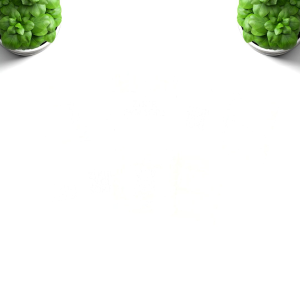 Buku Dzikir Pagi Petang | Al-Matsurat Zikir Pagi dan Sore | Satuan | Cover Random | By Ziyadbooks