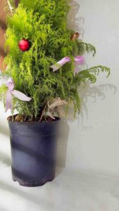 Sách cho bé - Hạnh Phúc - Nơi Em Tìm Về - Sách tranh - Dành cho trẻ 3+