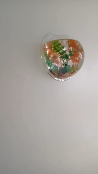 Buyer review video 2
