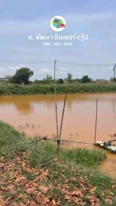 เคลียร์วอเตอร์ การเสริมสร้างสนิม ลดความเป็นพิษ 100% สวย สวย ตรียมน้ำ กระบวนการปล่อยสัตว์น้ำ กระบวนการสวนทุเรียน