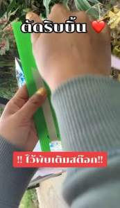 บล็อกตัดริบบิ้น ใช้ตัดริบบิ้นพับเหรียญโปรยทาน ตัดปลายแหลม (1ชุด มี 3 ชิ้น) พร้อมส่ง