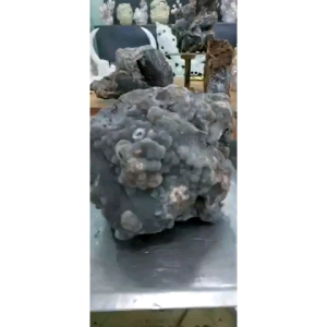 Mã não tự nhiên