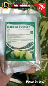 Pupuk Mangga Booster (250gr) Melebatkan Buah meningkatkan hasil panen