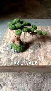 Bonsai Pohon Daun Sintetis: Tema Tiga Untuk Aquarium Aquscape