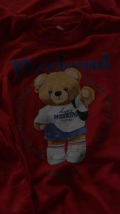 Setelan Sweater Anak Babyterry Adem – Motif Beruang & Panda Keren Usia 3-12 Tahun
