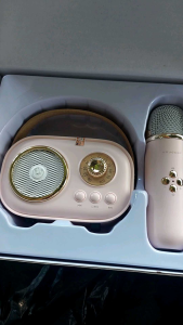Loa karaoke mini hay bền c20 plus