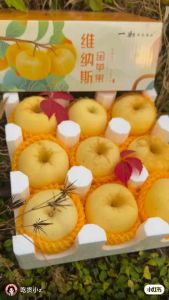 New Arrival Venus Golden Apple – Sweet Crisp & Refreshing