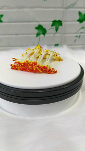 Các loại nhụy nhị handmade Nhụy Mai Nhụy Đào Nhụy Lan Nhụy Sen Nhụy Cúc Nhụy Tulip Nhụy Ly làm các loại hoa giả trang trí tết