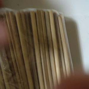 Tusuk Sate Kaki Naga 10 cm Diameter 5 mm Tumpul Isi 100 Pcs