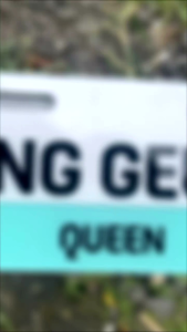 Plat Sepeda Listrik Custom dengan Baud // Bingkai Plat Lesen