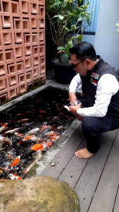 Jaket Rompi Gamblok Pria & Ridwan Kamil Terbaru