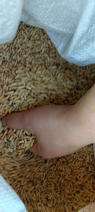 เมล็ดพันธุ์ข้าวไร่ดอยข้าวจ้าว บือกวา หรือข้าวขาว บรรจุ1กิโลกรัม