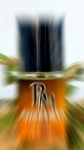 Bibit parfum Eropa 20 mili spray/Parfum pria wanita tahan lama/Parfum 20 mili spray/Parfum eropa termurah