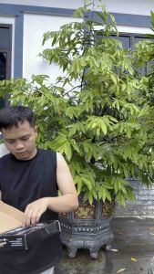 Led ga lăng ô tô xe tải 24v 3 hàng dây hoặc 4 hàng dây