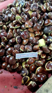 Jengkol Sepi Tua Kiloan