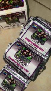 COD terlaris Kapsul asli Akar Pohon Manggis Isi 40Kapsul Asli Original