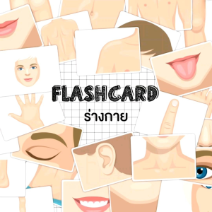 แฟลชการ์ดร่างกาย แผ่นใหญ่ Flash Card Body จำนวน 25 ใบ ขนาด A5 KP046 แฟลชการ์ด ร่างกาย 2WinBookToys