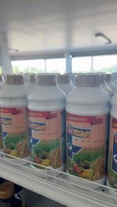 ถังทอง ธาตุอาหารรองรวม (1 ขวด 20 ไร่) มีทั้งแมกนีเซียม กำมะถัน เหล็ก แมงกานีส สังกะสี