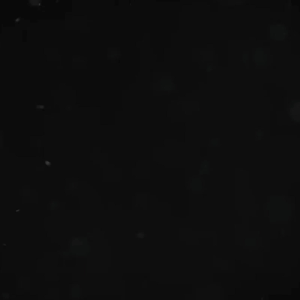 Kaos Pria Deawsa Kekinian Trendi Motif Depan Keren Lengan Pendek Baju Cowok Kaos Oblong Tebal 24s