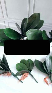 [3-7 LEMBAR] DAUN ANGGREK LATEX PREMIUM REAL TOUCH LEBAR ORCHID LEAF ARTIFICIAL FLOWER BUNGA PALSU IMITASI PAJANGAN BUNGA VAS RUANG TAMU
