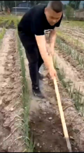 cangkul garuk mata 1 praktis