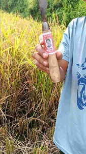 Arit Gergaji Padi & Arit Potong Rumput Merk Marno
