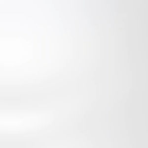 PAW PUFF RINSE FREE DOG FOAM SHAMPOO