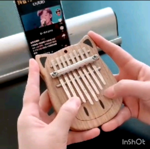 gecko Kalimba 8 keys 拇指琴8音